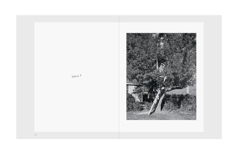 Gathered Leaves Annotated - Alec SOTH | shashasha - Photography