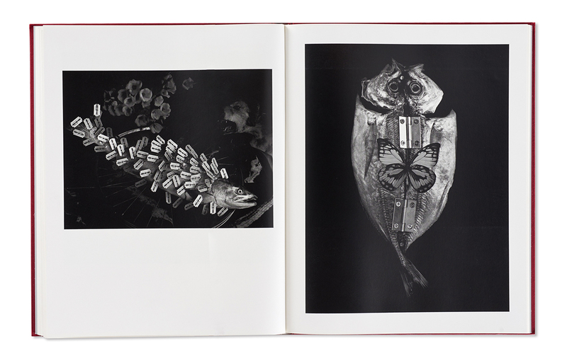 MICHIKO KON - Michiko KON | shashasha - Photography & art in books