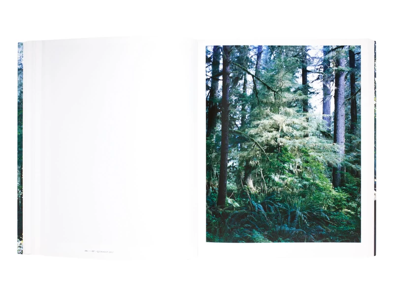 FOREST 印象と記憶 1989-2017 - 上田義彦 | shashasha 写々者 - 写真集