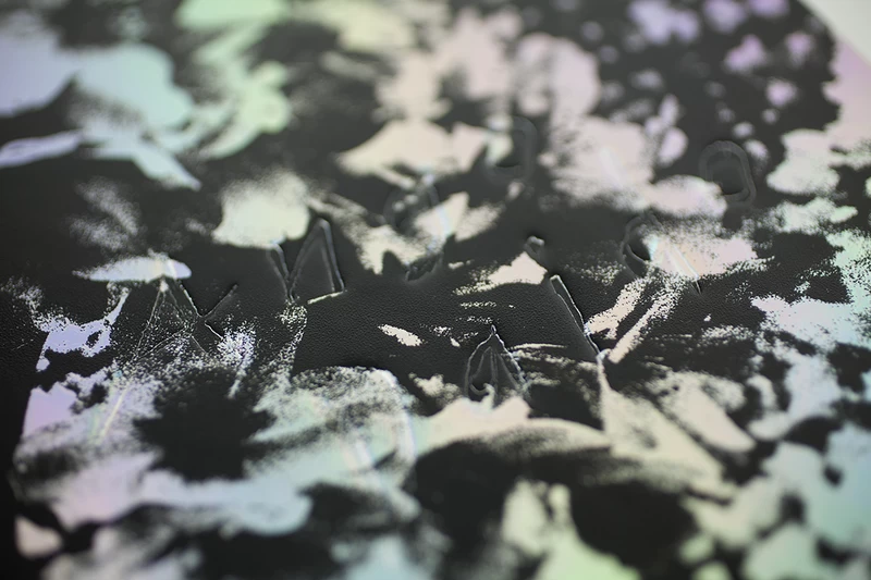 Daido Moriyama: Ango (English Edition) - Daido MORIYAMA