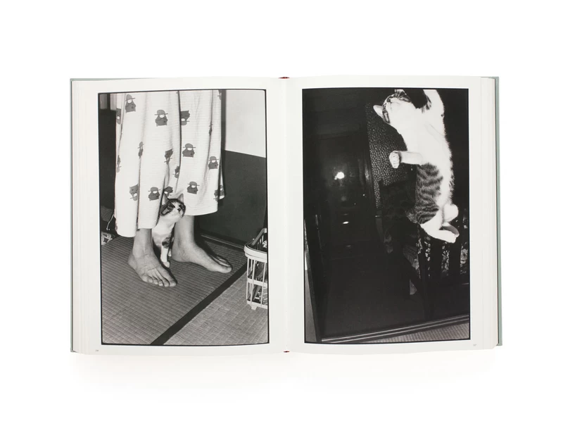 Masahisa Fukase - 深瀬昌久 | shashasha 写々者 - 写真集とアートブック
