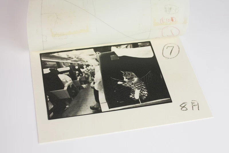 Afterword special edition - 深瀬昌久 | shashasha 写々者 - 写真集と