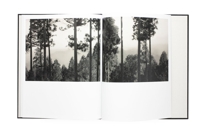 Yuka & The Forest A - Lena C. EMERY | shashasha - Photography