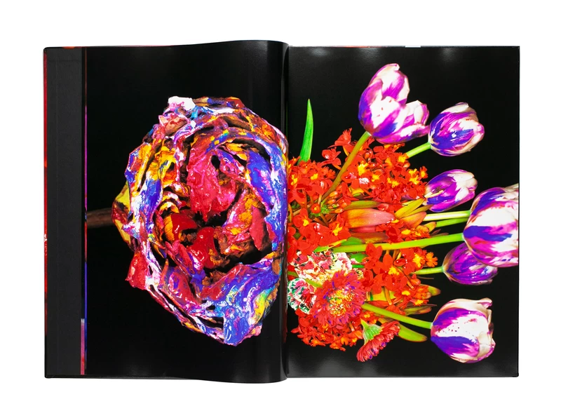 色情花 ～Painting Flower (A) - 荒木経惟 | shashasha 写々者 - 写真