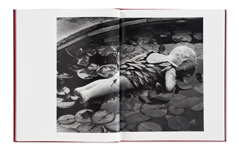 MICHIKO KON - 今道子 | shashasha 写々者 - 写真集とアートブック