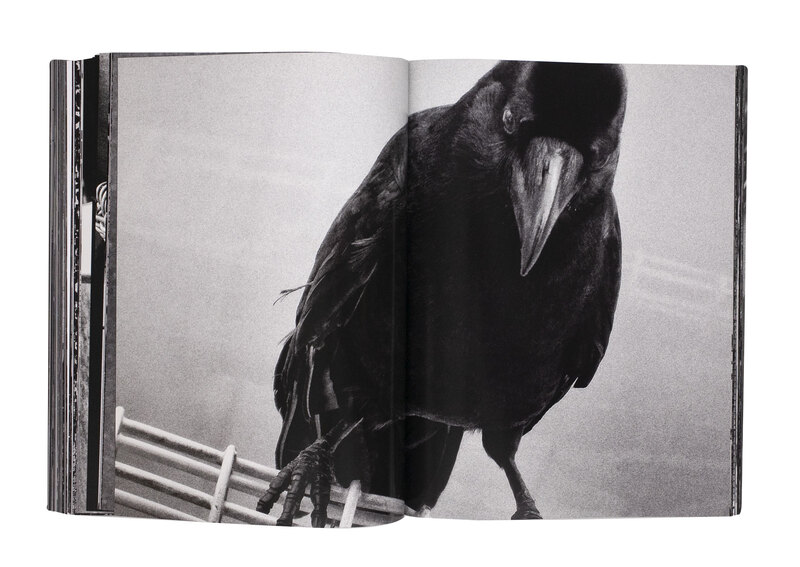 【新品同様】記録 Record 2 by Daido Moriyama 森山大道 Daido Moriyama: Record 2