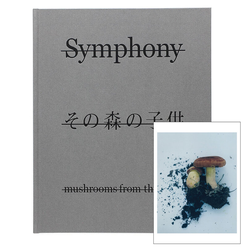 Symphony その森の子供 (スペシャルエディション) ストーニーポイント 