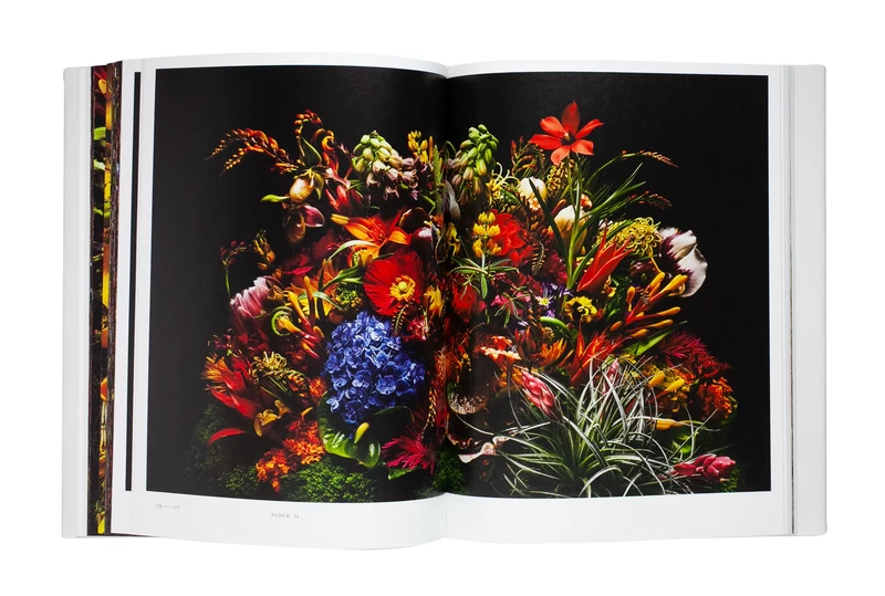 Encyclopedia of Flowers Vol. V - Shunsuke SHIINOKI, Makoto AZUMA