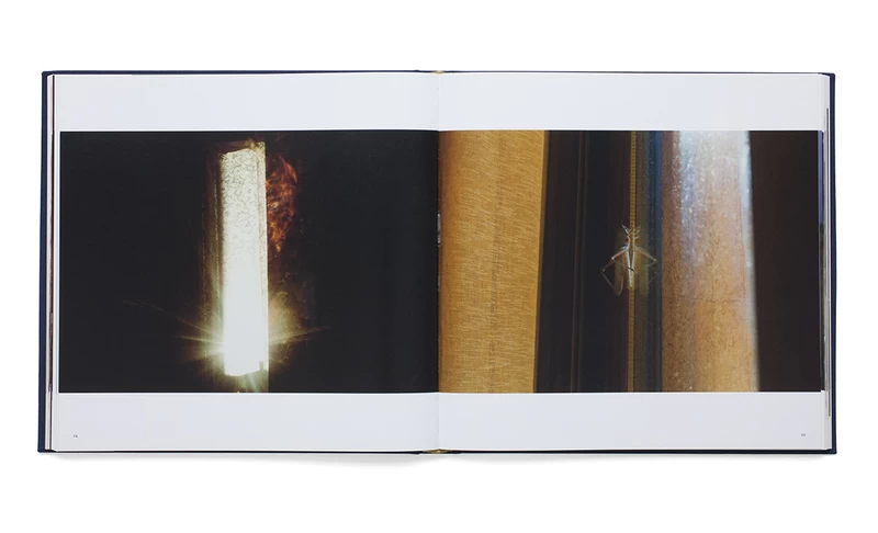 Temples of Gold 洋書　写真集　絵画集　アートブック　タイ　美品 Diving for Pearls - ナン・ゴールディン | shashasha 写々者 - 写真集