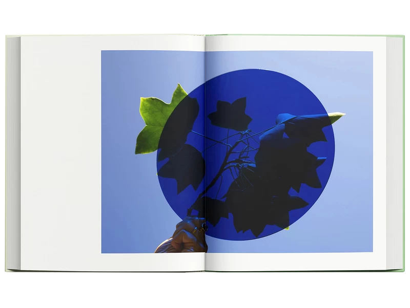 Modern Alchemy - Viviane SASSEN, Emanuele COCCIA | shashasha