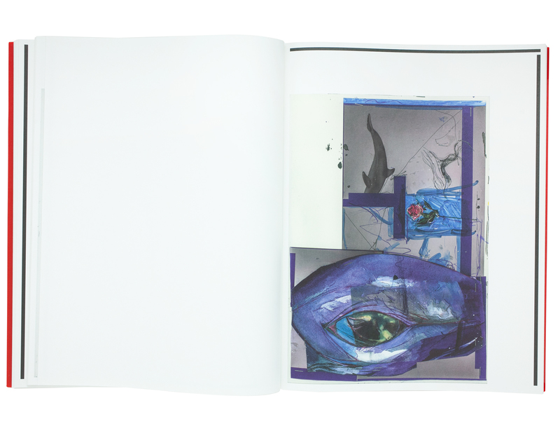 Chapter 4 - Rita ACKERMANN, Andro WEKUA | shashasha 写々者 - Photography & art  in books