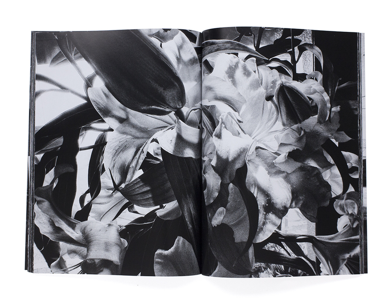 Spew / spewedition 2016 限定100部 横田大輔 森山大道 記録32号 - 森山大道 | shashasha 写々者 - 写真集とアートブック