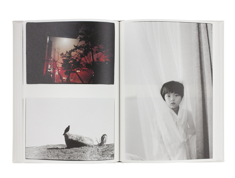 NUDE / A ROOM / FLOWERS - 野村佐紀子 | shashasha 写々者 - 写真集と