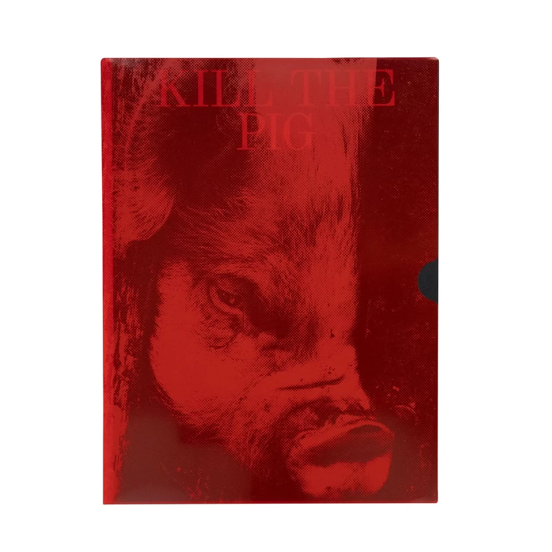 アート・デザイン・音楽 KILL THE PIG MASAHISA FUKASE OkdNtfsrI_zmQh3d.webp