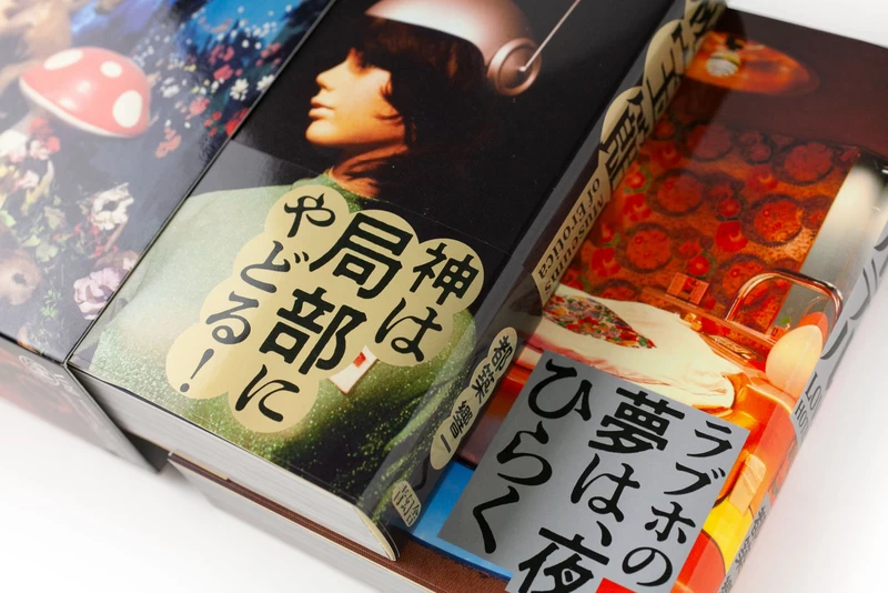 秘宝館 / ラブホテル 特装版 ㊙BOX - 都築響一 | shashasha 写々者