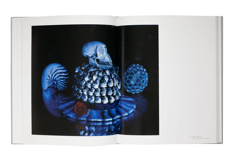 Philia - Michiko KON | shashasha - Photography & art in books