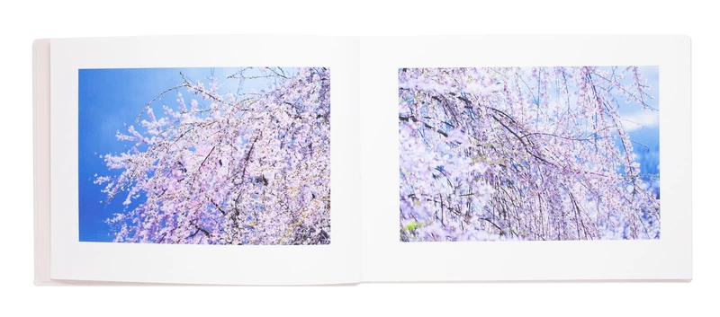 Vira - Mika NINAGAWA | shashasha - Photography & art in books