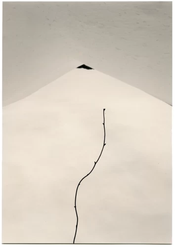 Masao YAMAMOTO - 山本昌男 | shashasha - Photography & art in books