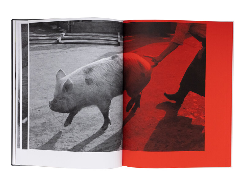 Kill the Pig - 深瀬昌久 | shashasha 写々者 - 写真集とアートブック