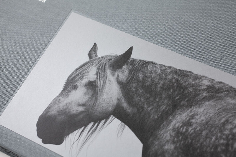 Hokkaido the horses of yururi island 写真集 ユルリ島の馬 The Horses of Yururi Island 著者サイン入り ユルリ島の馬