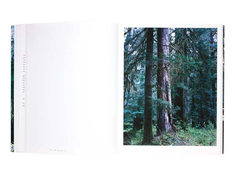 FOREST 印象と記憶 1989-2017 - 上田義彦 | shashasha 写々者 - 写真集
