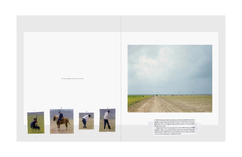 Gathered Leaves Annotated - Alec SOTH | shashasha