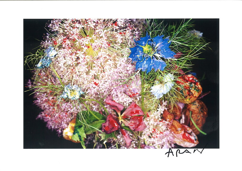 色情花 ～Painting Flower (G) - 荒木経惟 | shashasha 写々者