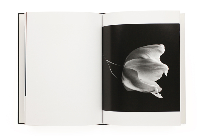 ライフ - 西村陽一郎 | shashasha 写々者 - 写真集とアートブック