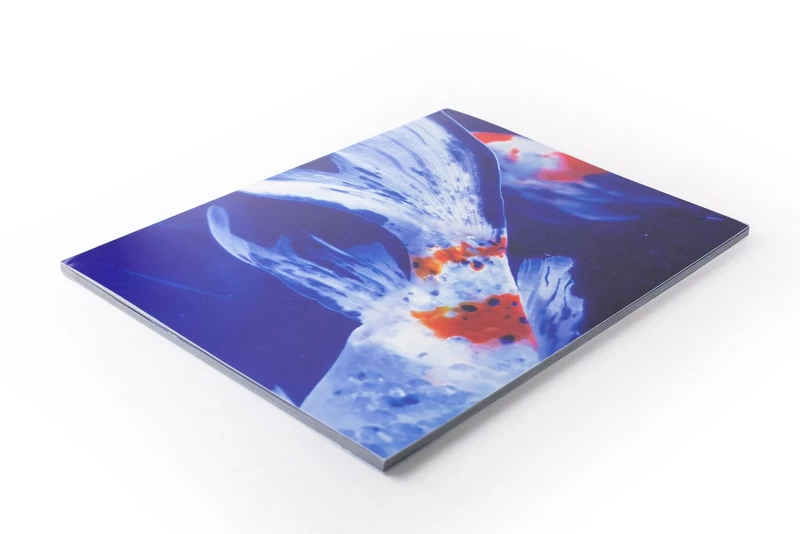 Eternity in a Moment Vol. 3 - Mika NINAGAWA | shashasha