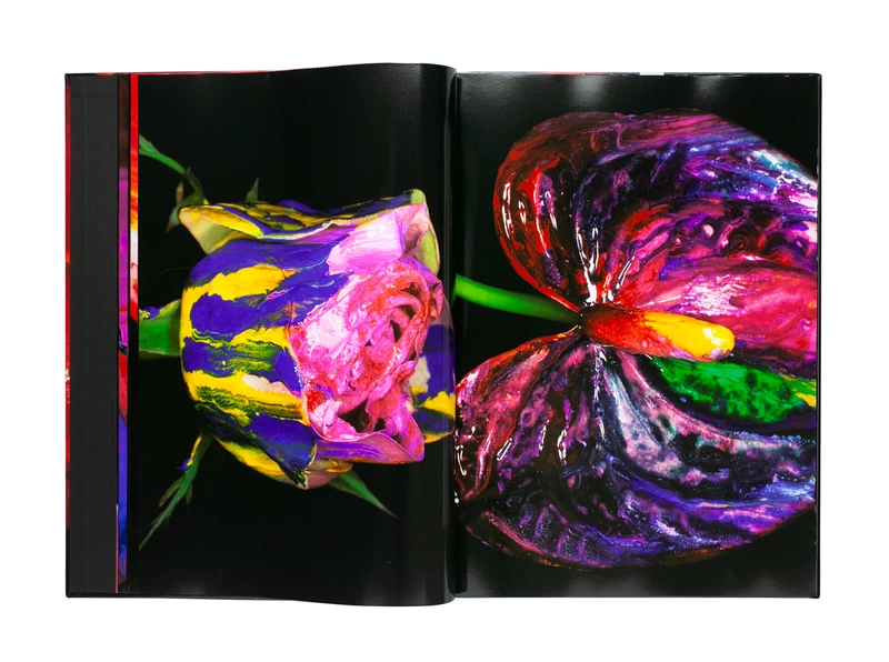 Painting flower (J) - Nobuyoshi ARAKI | shashasha - Photography