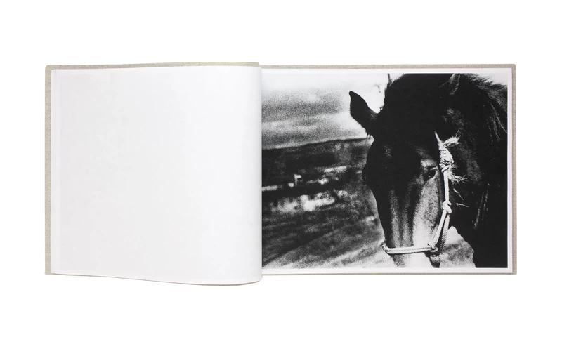 Daido Moriyama Hokkaido 森山大道 北海道 写真集 Hokkaido - 森山大道 | shashasha 写々者 - 写真集とアートブック