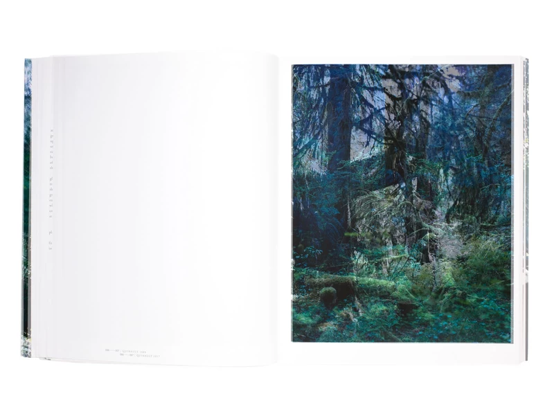 FOREST 印象と記憶 1989-2017 - 上田義彦 | shashasha 写々者 - 写真集