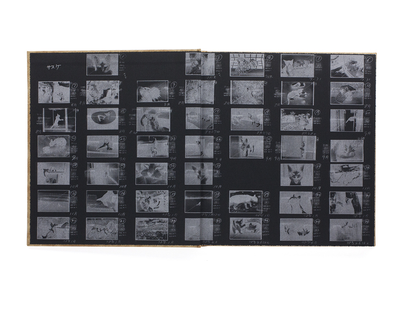 Afterword 2nd edition - 深瀬昌久 | shashasha 写々者 - 写真集 Afterword 2nd edition - 深瀬昌久 | shashasha 写々者 - 写真集