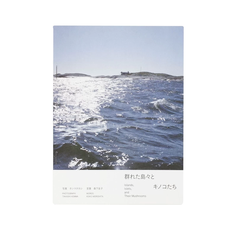 ホンマタカシ Architectural Landscapes 1冊、DM1部 Architectural