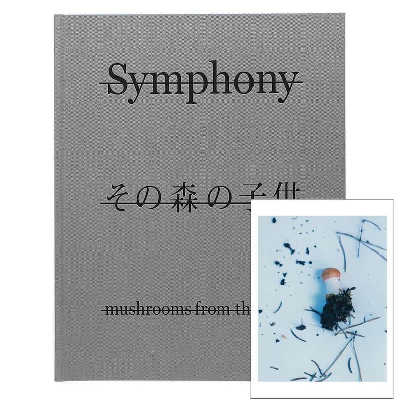 Symphony その森の子供 (スペシャルエディション) スカンジナビア - ホンマタカシ | shashasha 写々者 - 写真集とアートブック