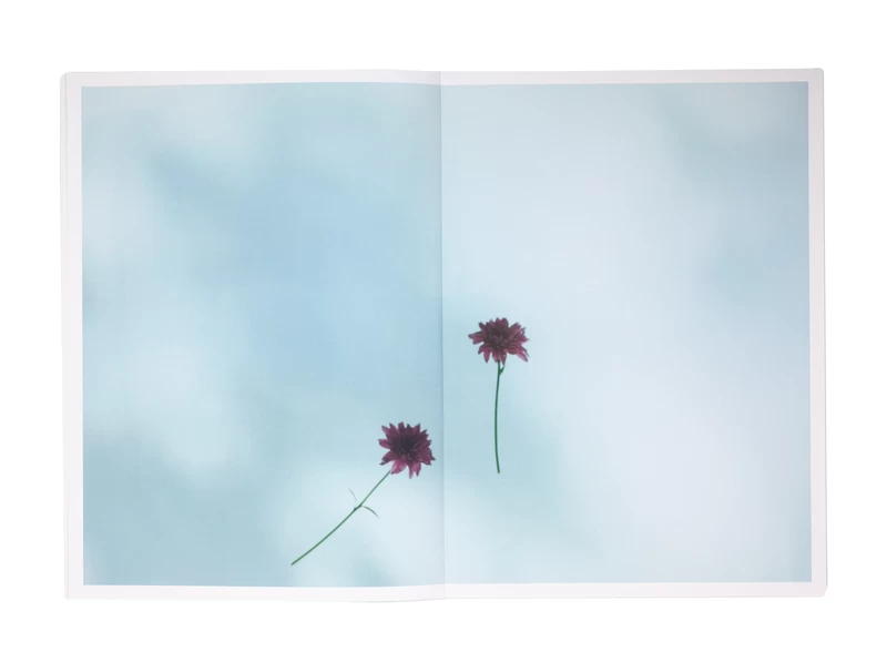 Flower - 野口恵太 | shashasha 写々者 - 写真集とアートブック Flower - 野口恵太 | shashasha 写々者 - 写真集とアートブック