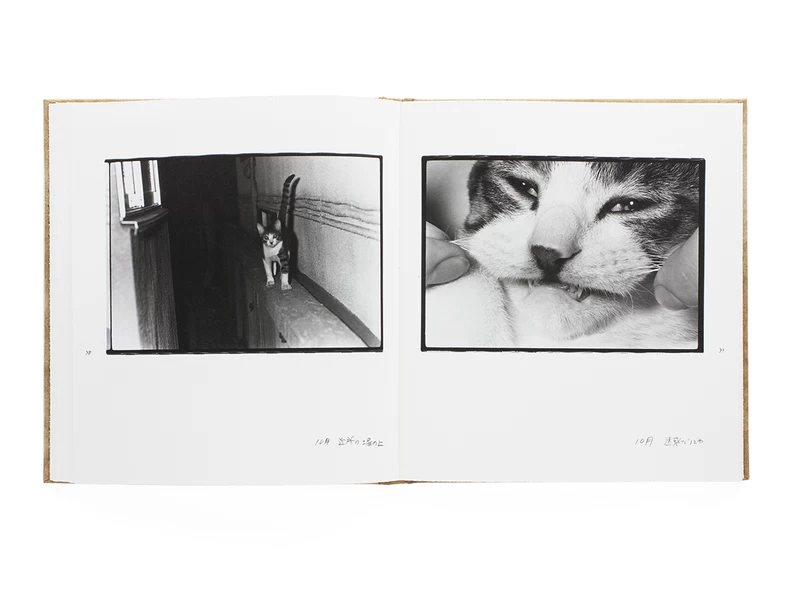 Afterword 2nd edition - 深瀬昌久 | shashasha 写々者 - 写真集と