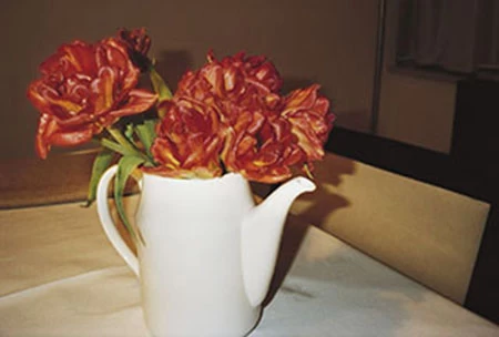 flF4TBZ6d_f08ltF.webp