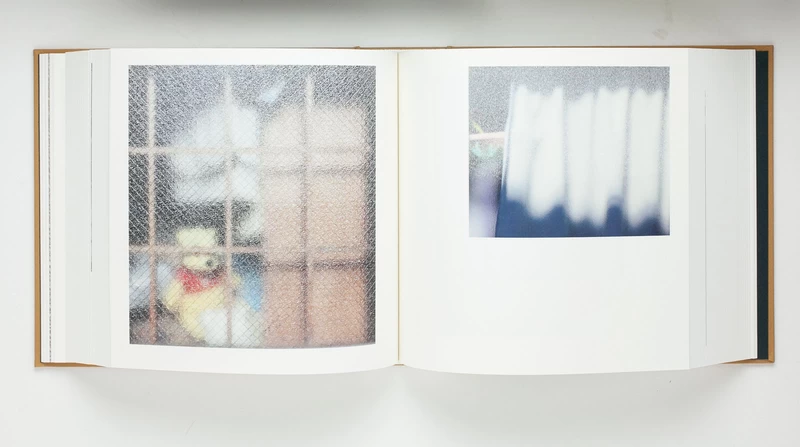 Windows - 奥山由之 | shashasha 写々者 - 写真集とアートブック