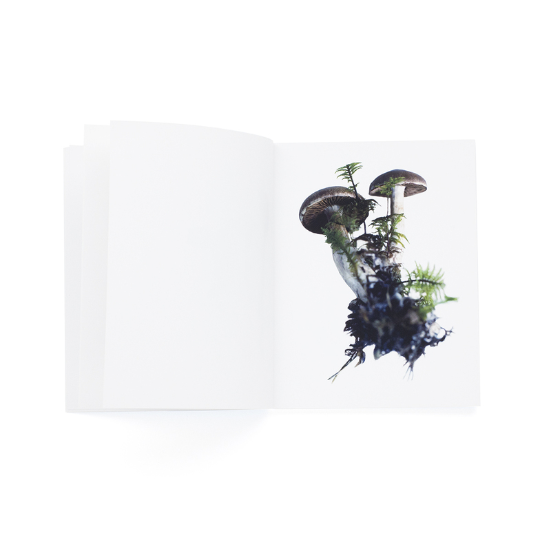 SOLD): HOMMA, Takashi. Scandinavian Mushroom. - Cult Jones