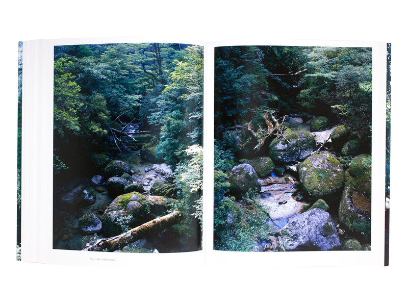 FOREST 印象と記憶 1989-2017 - 上田義彦 | shashasha 写々者 - 写真集 
