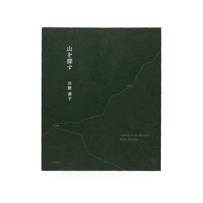 Looking for the Mountain - Kyoko KAWANO | shashasha