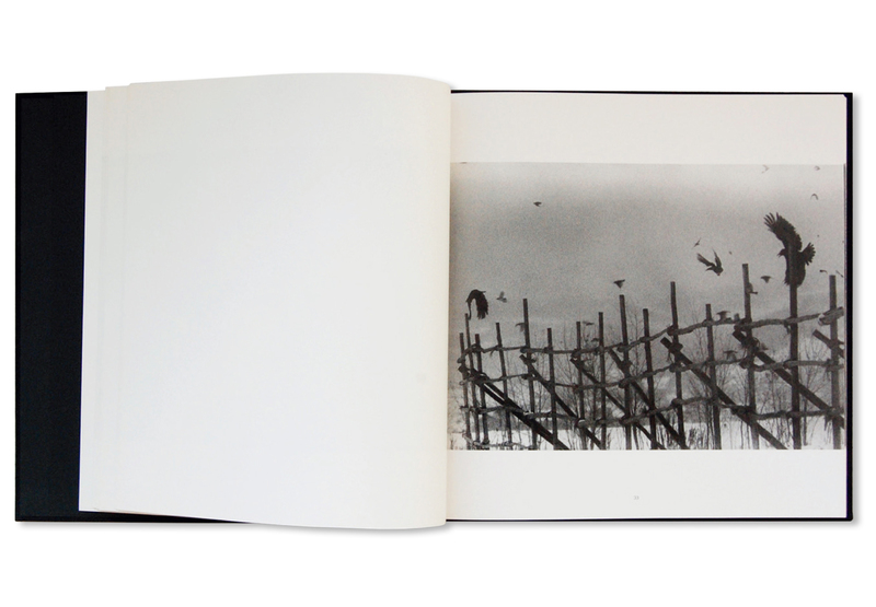 Ravens - Masahisa FUKASE | shashasha - Photography & art in books