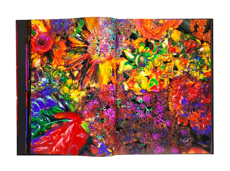 色情花 ～Painting Flower (A) - 荒木経惟 | shashasha 写々者 - 写真