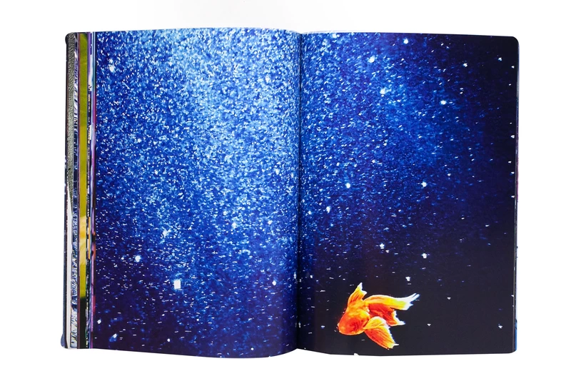 Eternity in a Moment Vol. 3 - Mika NINAGAWA | shashasha