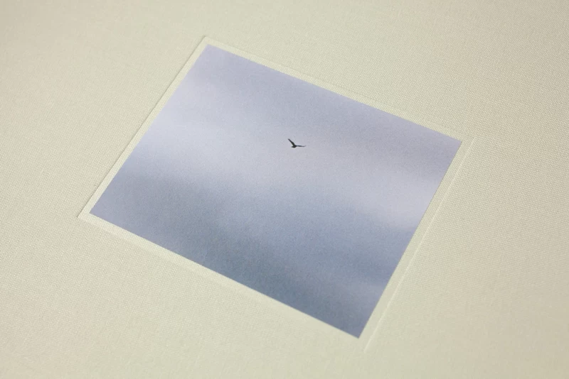 A Bird / Blast #130 - 畠山直哉 | shashasha 写々者 - 写真集とアート