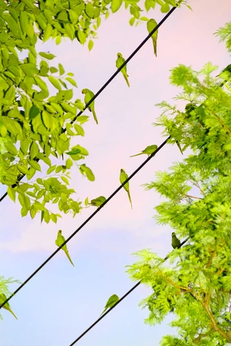 Jx6YZPrMd_s0OvLF.webp