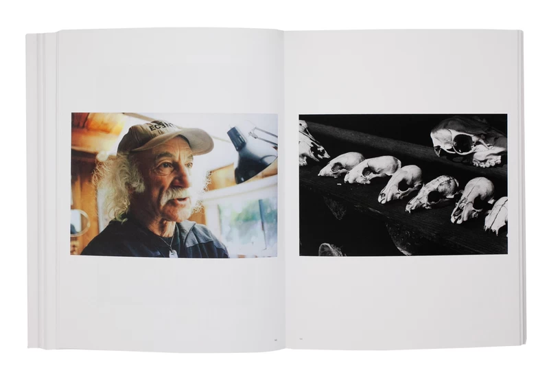 A Whole California Anthology 1993–2025 - 戎康友 | shashasha 写々者