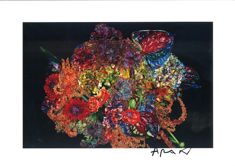 色情花 ～Painting Flower (I) - 荒木経惟 | shashasha 写々者 - 写真