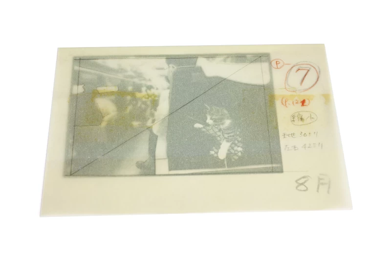 Afterword special edition - 深瀬昌久 | shashasha 写々者 - 写真集と